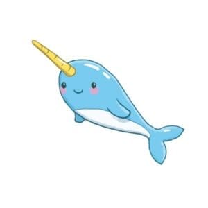 Narwhal