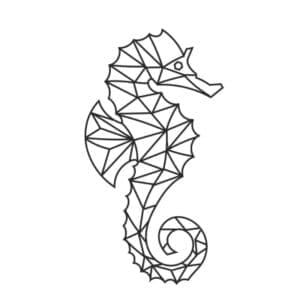 Seahorse