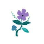 Purple Flower