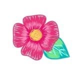 Pink Flower