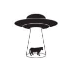 Flying Saucer