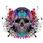 Multi-Colour Skull