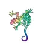 Chameleon Rainbow