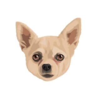 Dog 1