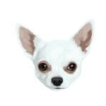 Dog 2