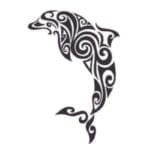Dolphin
