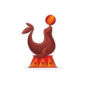 Circus Performing Seal