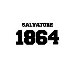 Salvatore 1864 The Vampire Diaries